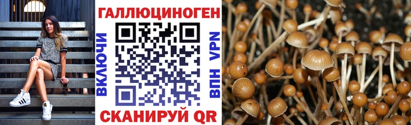 Псилоцибиновые грибы GOLDEN TEACHER  где купить наркоту  Кохма 